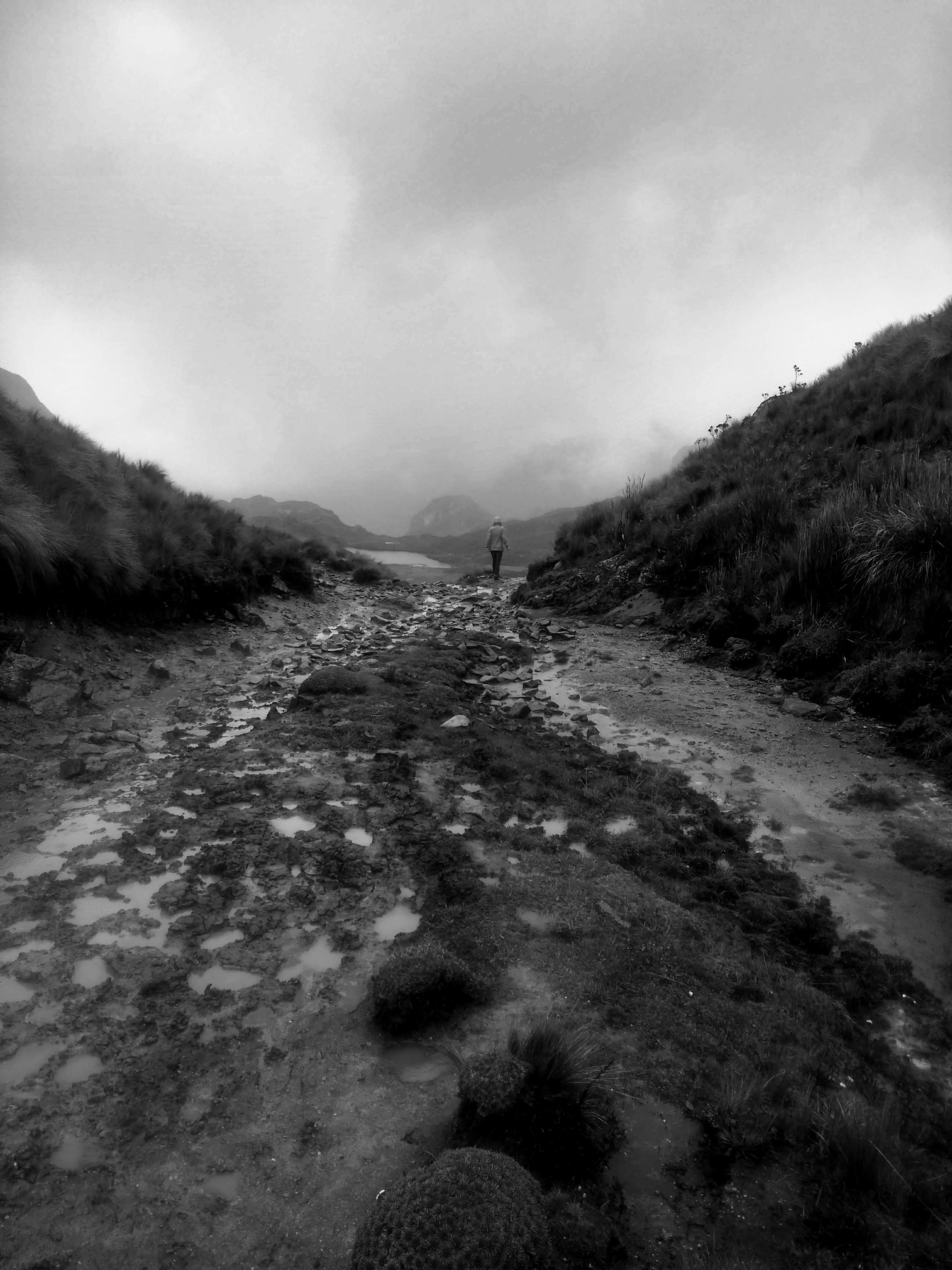 a small valley in El Cajas national park in Ecuador